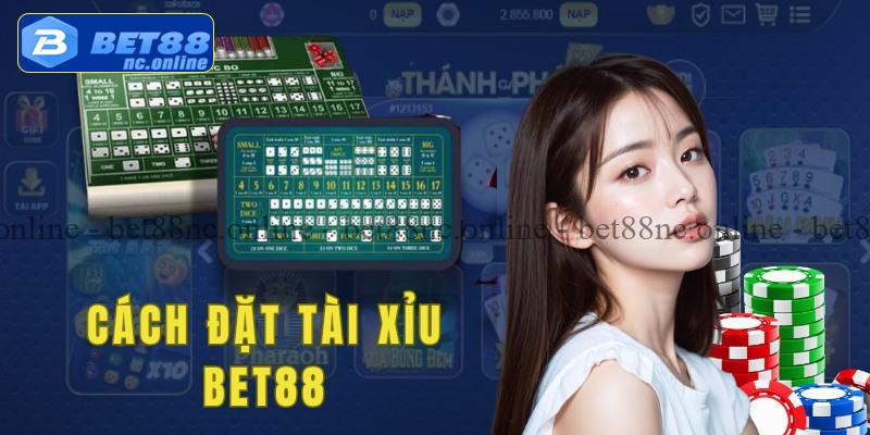 Cách đặt cửa cược tài xỉu online